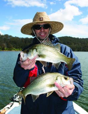 Jim Greenwood with two quality estuary perch. You can expect more EPs in the upper reaches this month